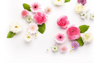 flower.jpg